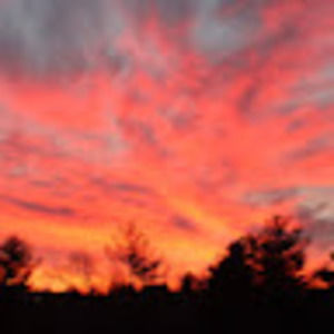 Meet your Posher, Ava